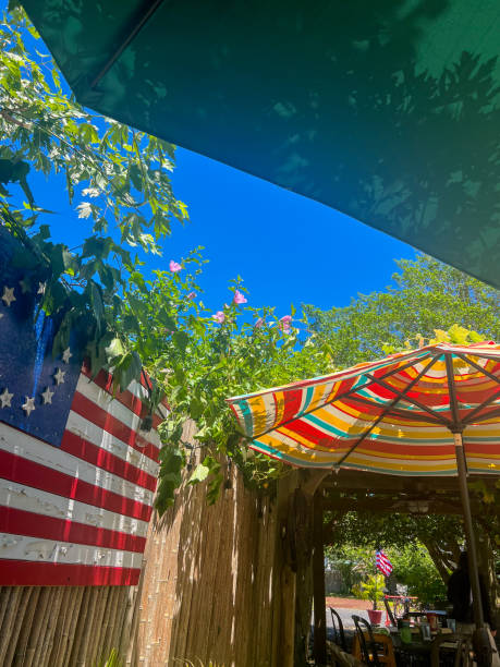 American Flag In A Garden During Summertime
