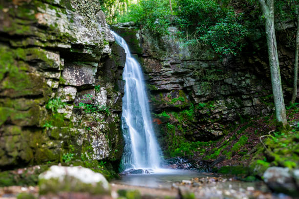 istock Gentry Falls and Trail Laurel Bloomery Tennessee 2161792947