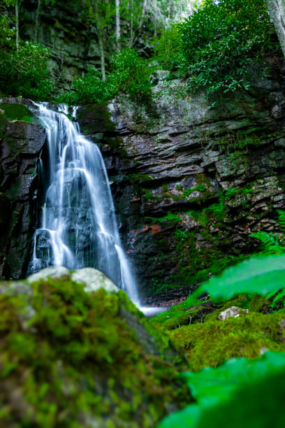 istock Gentry Falls and Trail Laurel Bloomery Tennessee 2161792979