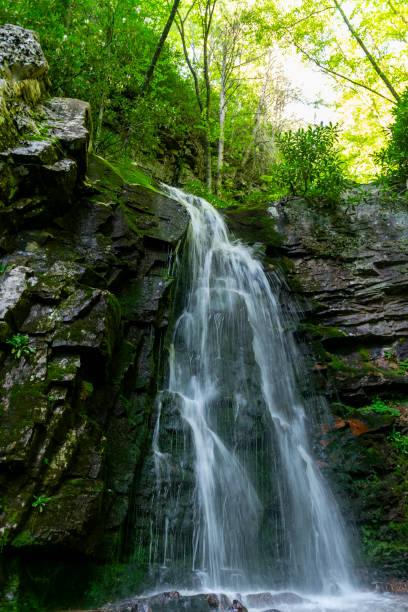 istock Gentry Falls and Trail Laurel Bloomery Tennessee 2161793049