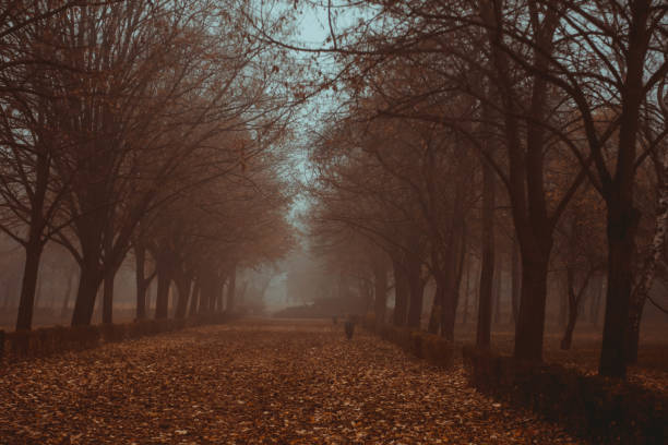 istock a very beautiful autumn day. 2161793247