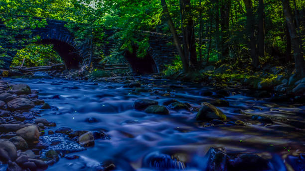 Little River Synchronous Fireflies Elkmont Campgrounds Great Smokey Mountains