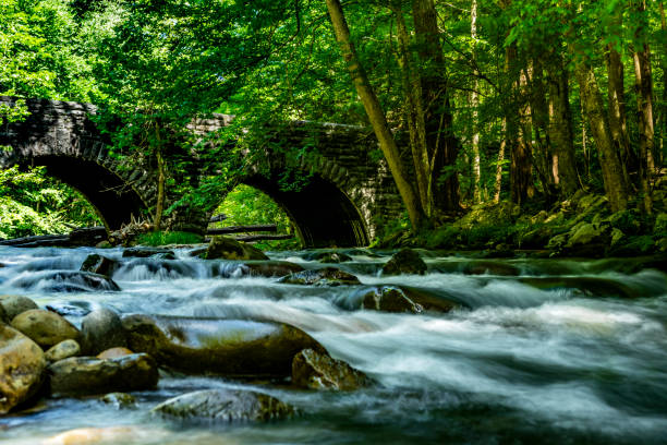 Great Smokey Mountain Riverside Landscape