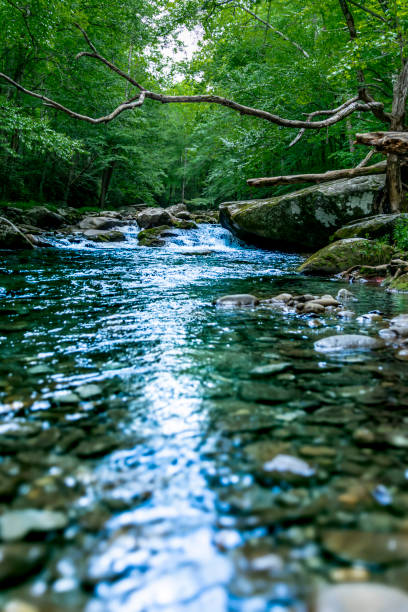 Great Smokey Mountain Riverside Landscape