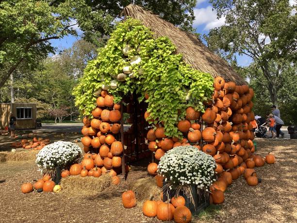 A house built with pumpkins and plants has been built for a dramatic Autumn Display. Perfect shot for a Fall project.