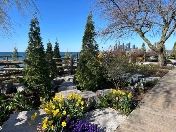 istock Lake waterfront of Toronto 2161800718
