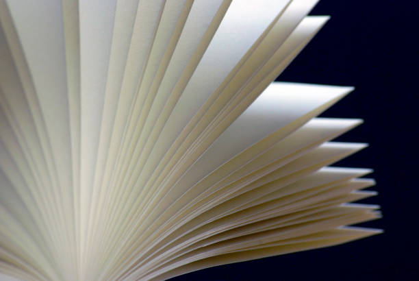 istock Graphic representation of fan book sheets 2161800991