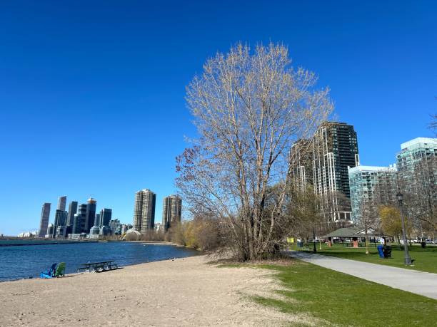 istock Lake waterfront of Toronto 2161801208