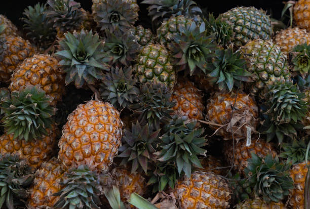 Truck full of pineapples seen in Thailand.