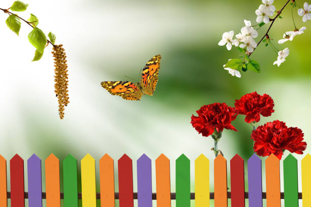 A colorful picket fence stands amidst a verdant backdrop, showcasing a butterfly in flight, delicate white blossoms, and vibrant red carnations.
