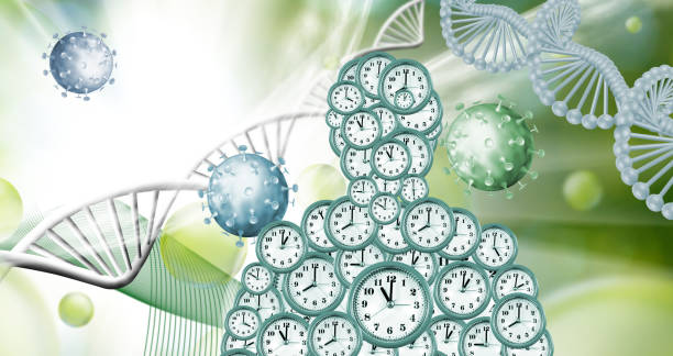 istock Times Unfolding Tapestry: A Visual Symphony of Life, Evolution, and the Ever-Ticking Clock 2161803177