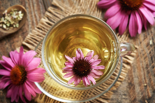 istock Fresh echinacea flower in a cup of herbal tea 2161803257
