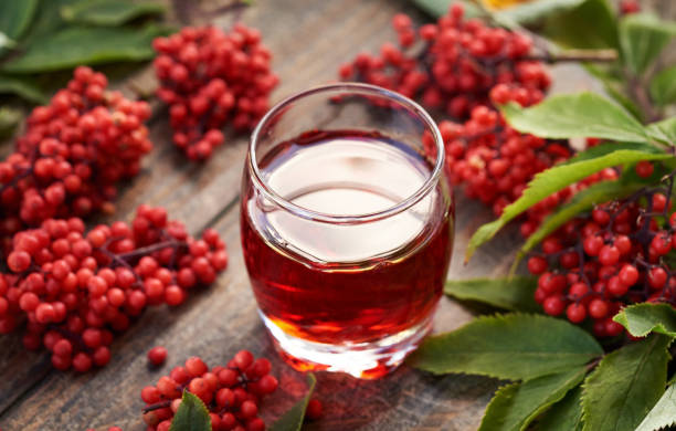 istock Red elder or Sambucus racemosa syrup in a glass cup 2161803294