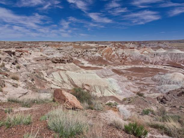 istock Wide open landscape within the painted desert 2161803629