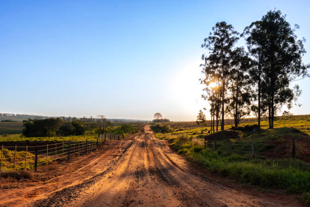 istock dirt road on rural properties 2161804091