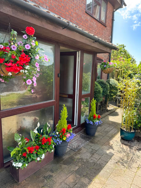istock Image of mixed annual bedding plants in coir (coconut fibre) lined hanging basket outside red brick walled house, plant troughs and pots in front of enclosed porch, standard lollipop Italian privet trees, focus on foreground 2161805016
