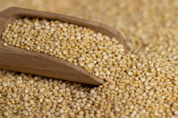 istock not cooked healthy quinoa porridge grains 2161807792