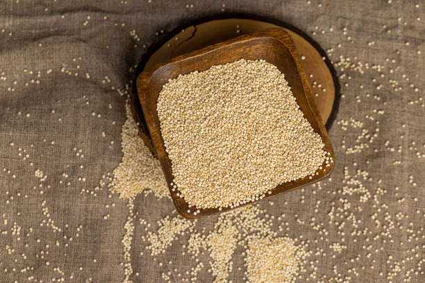 Raw quinoa porridge grains close-up, not cooked healthy quinoa porridge grains