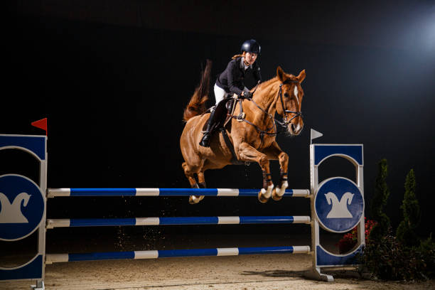 istock Horse and a rider jumping over hurdle 2161812965