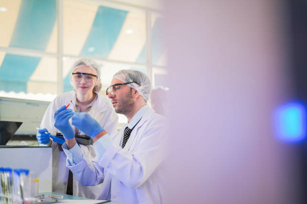 istock scientists perform experiments and record data. people arranges equipment with test tubes and chemicals for producing medicine and biochemistry. man hold tubes of chemical liquids and plant samples. 2161814306