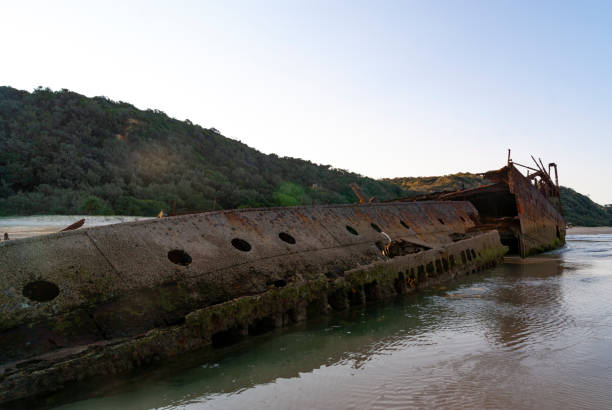 A dramatic view of the SS Maheno shipwreck on Fraser Island, Australia, showcasing the weathered remains of the once-mighty ocean liner now resting on the sandy shore. The SS Maheno, wrecked in 1935, is a popular tourist attraction, adding a historical and mysterious element to the island's natural beauty and rugged coastline.