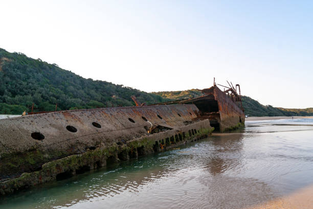 A dramatic view of the SS Maheno shipwreck on Fraser Island, Australia, showcasing the weathered remains of the once-mighty ocean liner now resting on the sandy shore. The SS Maheno, wrecked in 1935, is a popular tourist attraction, adding a historical and mysterious element to the island's natural beauty and rugged coastline.
