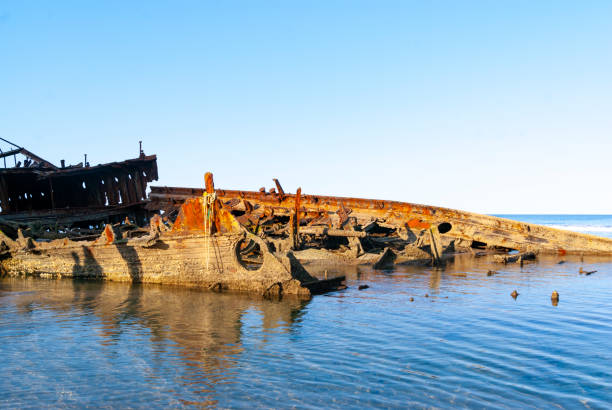 A dramatic view of the SS Maheno shipwreck on Fraser Island, Australia, showcasing the weathered remains of the once-mighty ocean liner now resting on the sandy shore. The SS Maheno, wrecked in 1935, is a popular tourist attraction, adding a historical and mysterious element to the island's natural beauty and rugged coastline.