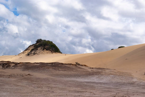 A scenic view of Fraser Island, Australia. The island is known for its unique sand dunes, lush rainforests, and freshwater lakes, making it a popular destination for nature lovers and adventure seekers.