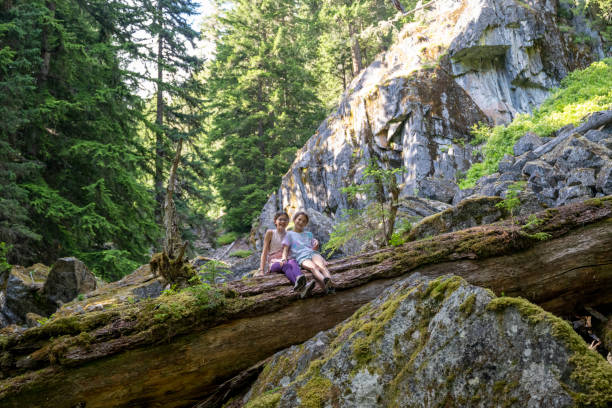 istock Young girls hike in old growth forest 2161817364