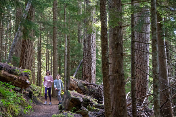 istock Young girls hike in old growth forest 2161817427