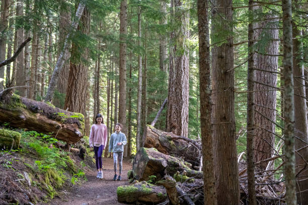 istock Young girls hike in old growth forest 2161817441