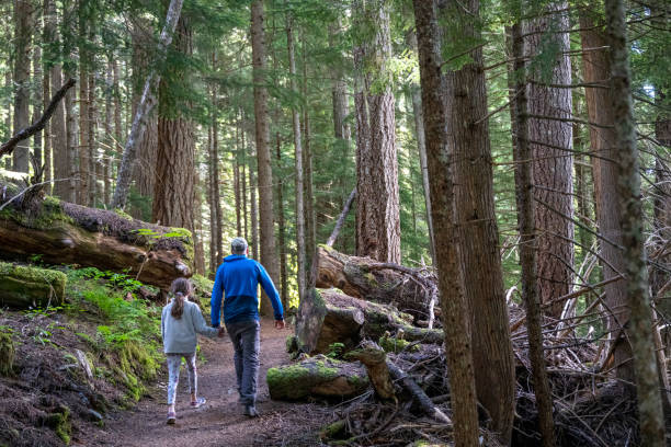 istock Father and daughter hike in old growth forest 2161817459