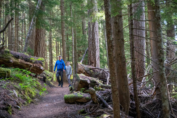 istock Father and daughter hike in old growth forest 2161817462