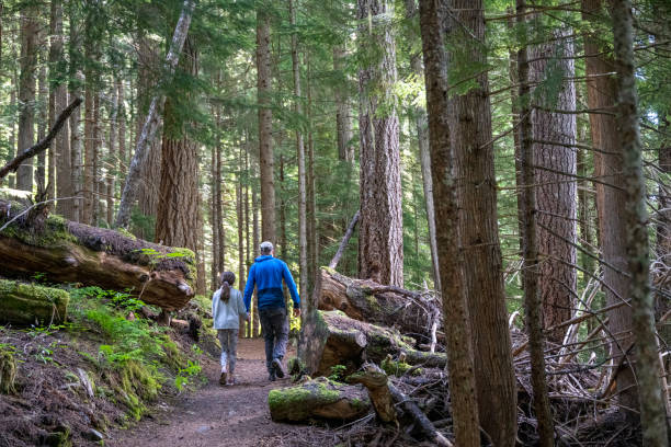 istock Father and daughter hike in old growth forest 2161817463