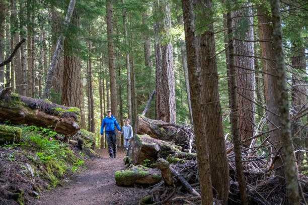 istock Father and daughter hike in old growth forest 2161817470