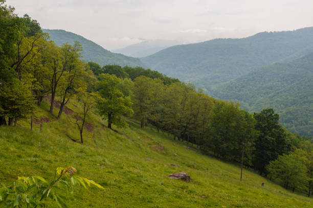istock Rich Mountain, West Virginia 2161825845