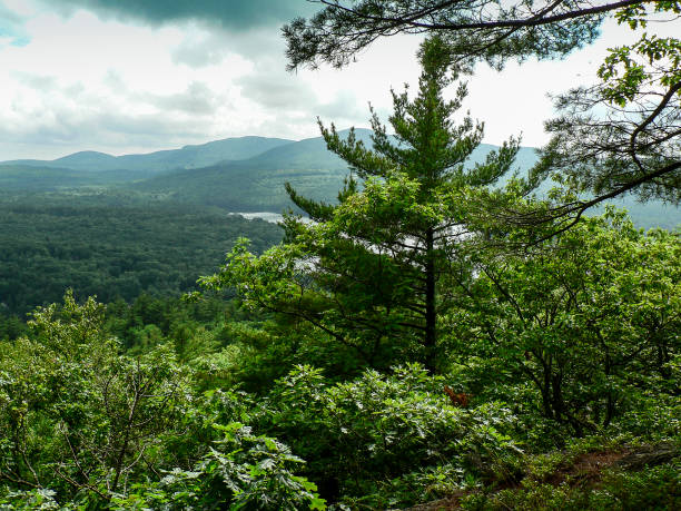 istock Cloudy Day Over Acadia National Park, Maine 2161828533