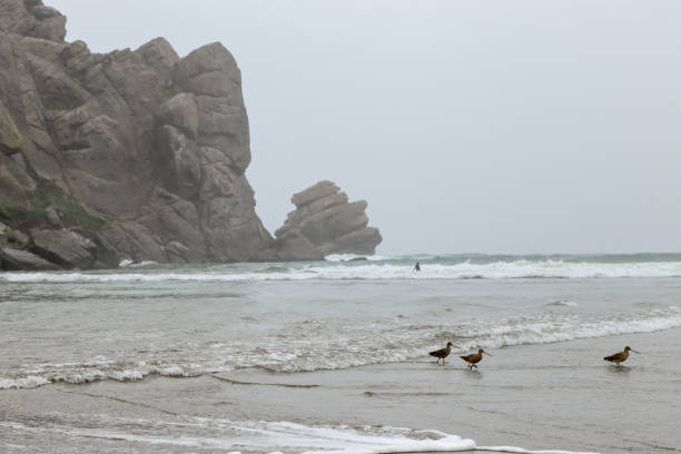 Morro rock at Morro Rock Beach in Morro Bay city on a rainy day, San Luis Obispo County, California