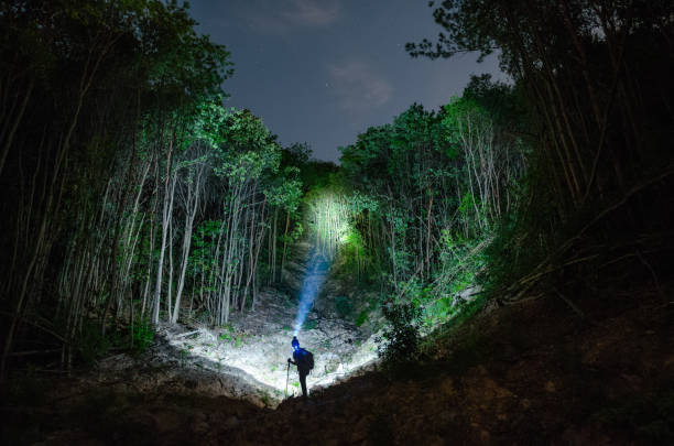istock Jungle hiking adventure lighting 2161832521