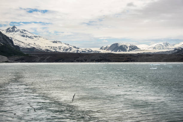 Glacier Bay National Park, Alaska, USA