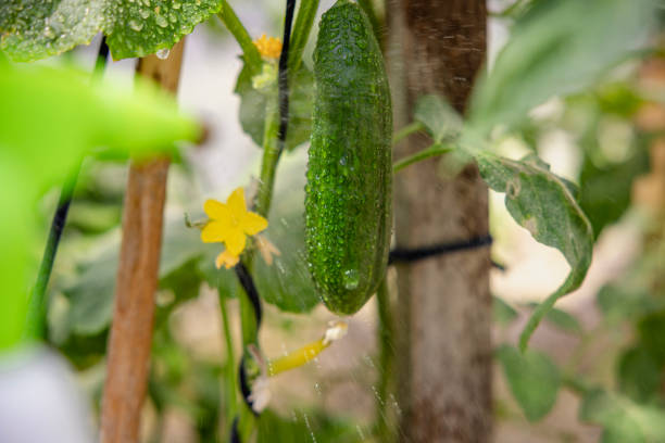 Популярные вопросы и ответы