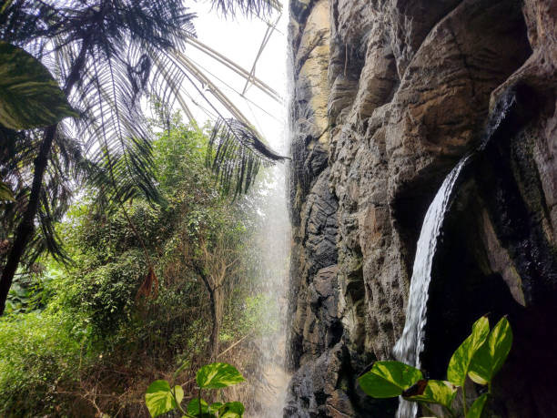 Tropical setting with trees, plants and waterfall made at the zoo