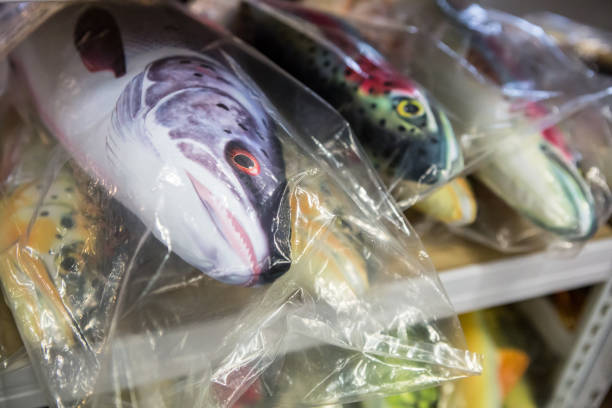 istock Realistic fish pillows wrapped in plastic waiting on the shelf 2161840519