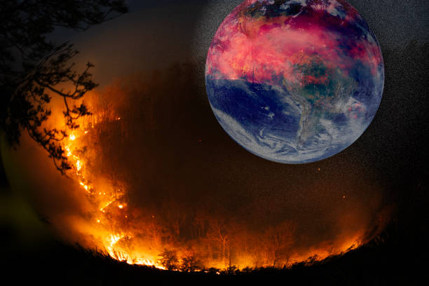 Forest fire on earth with the planet globe burned by fire.