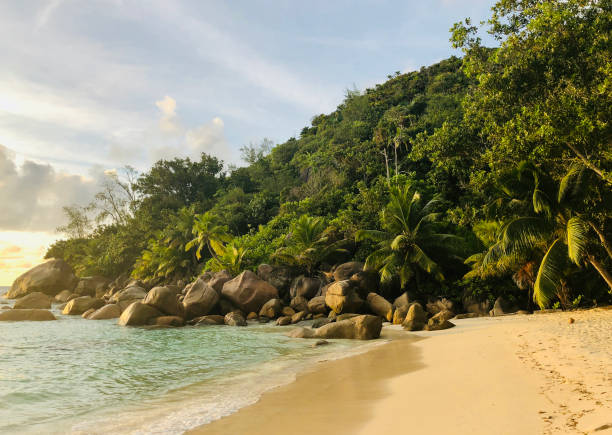 istock Tranquil beach during sunset on Praslin island in Seychelles 2161849032