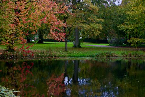 istock Serene park scene with autumn trees reflecting in a calm pond. 2161851242