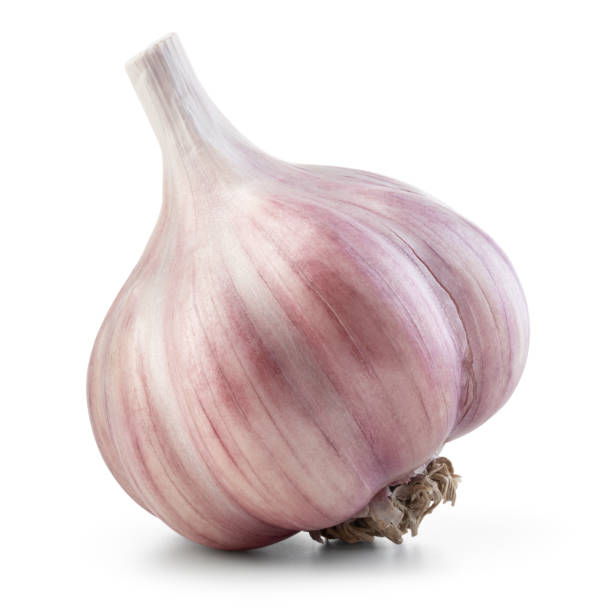Garlic bulb isolated. Garlic bulb on white background. Unpeeled garlic bulb with clipping path. Full depth of field.