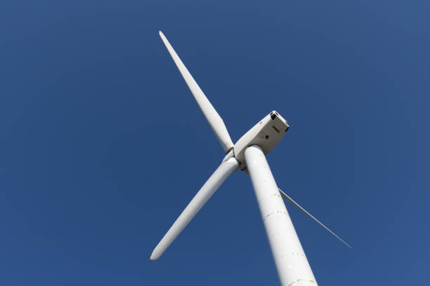Wind power generation facility in Japan