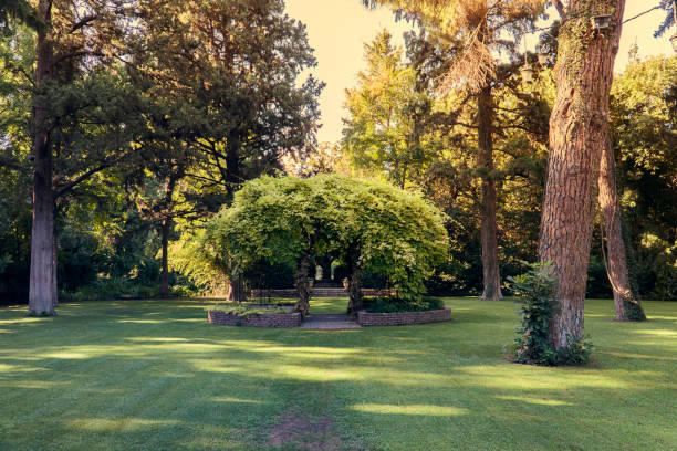 istock green garden and gazebo 2161852713