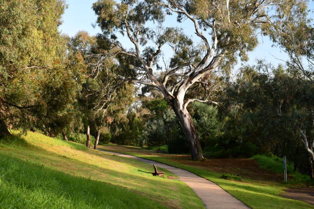 istock Parkland in Australia 2161853727